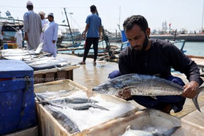 Oman Imposes Nation-Wide Seasonal Ban on Kingfish Harvesting and Commercial Trade