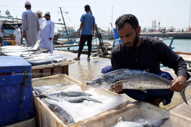 Oman Imposes Nation-Wide Seasonal Ban on Kingfish Harvesting and Commercial Trade