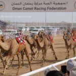 Oman Camel Racing Federation Unveils Action-Packed Schedule for 2026/2027 Season