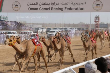 Oman Camel Racing Federation Unveils Action-Packed Schedule for 2026/2027 Season