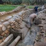 Sultanate Invests Over RO 620,000 to Restore Vital Irrigation Systems Across Dhahirah