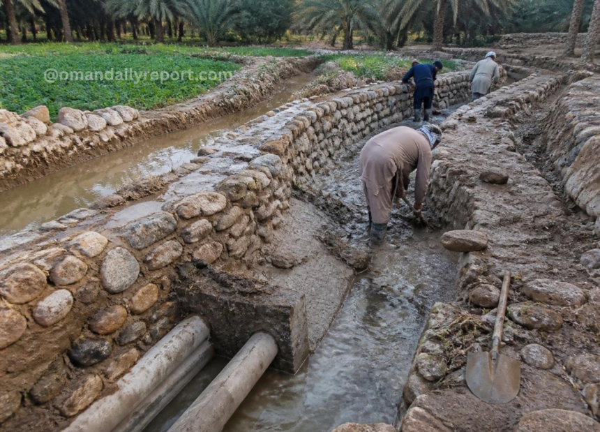 Sultanate Invests Over RO 620,000 to Restore Vital Irrigation Systems Across Dhahirah Sultanate Invests Over RO 620,000 to Restore Vital Irrigation Systems Across Dhahirah