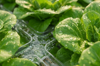 Oman Turn to Air-to-Water Tech to Combat Agricultural Salinity
